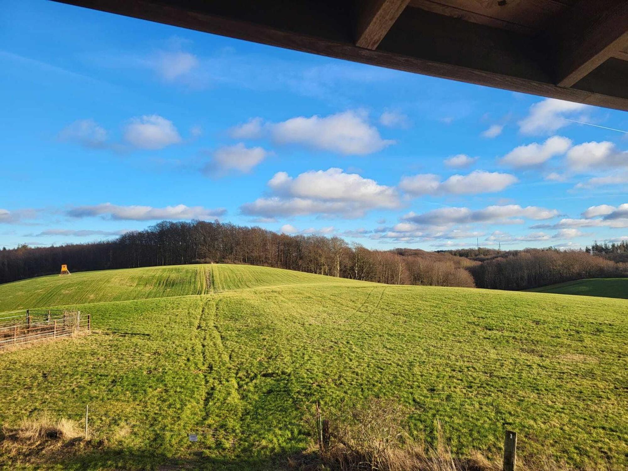 Ferienhaus zum Sonnenblick