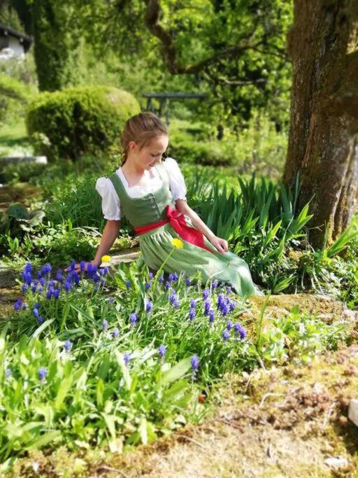 Auszeitshäusel ideal für Naturfreunde und Wanderer