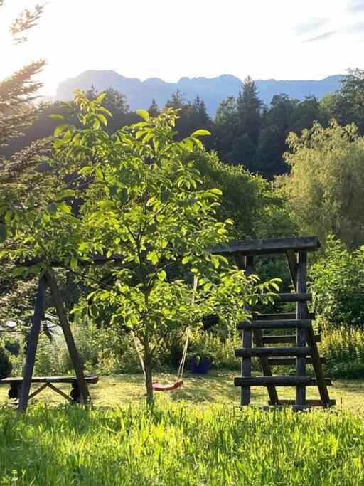 Auszeitshäusel ideal für Naturfreunde und Wanderer