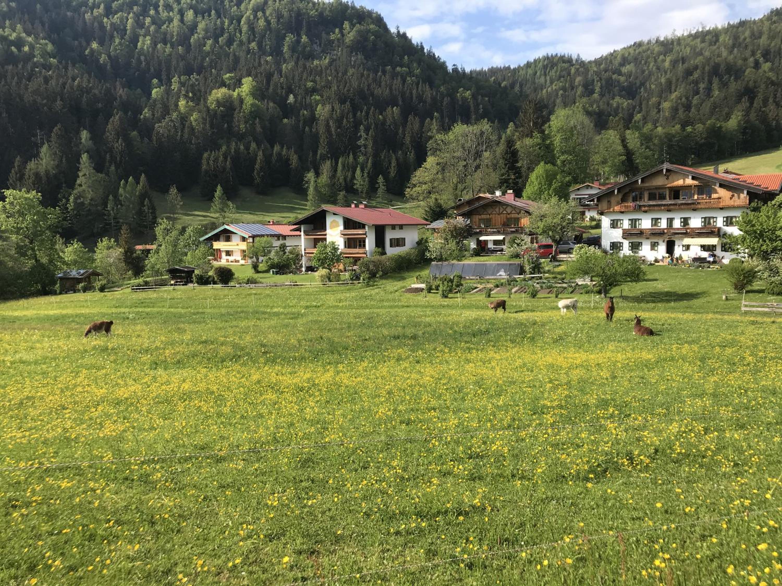 Wohnung Winklmoosalm