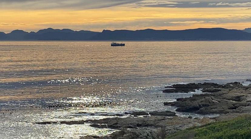 Casa Balena - The Seafront Whale House Experience