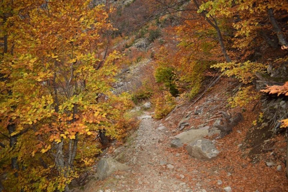 Paso del Onso