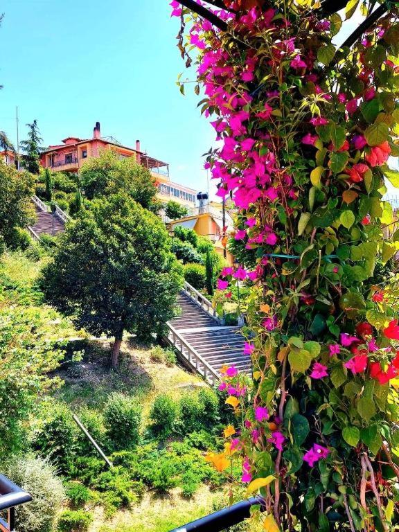 193 Urban Patras view 2