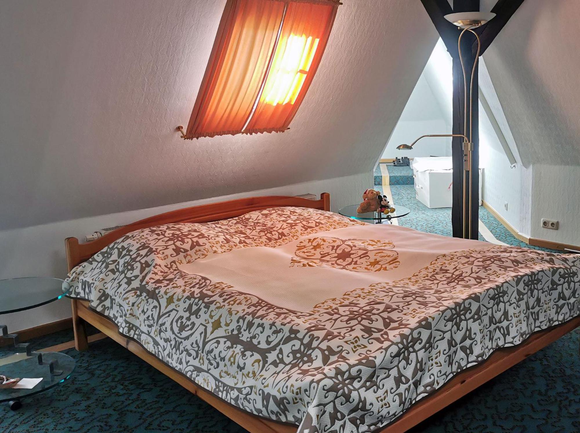 Apartment in Villa Rochlitz