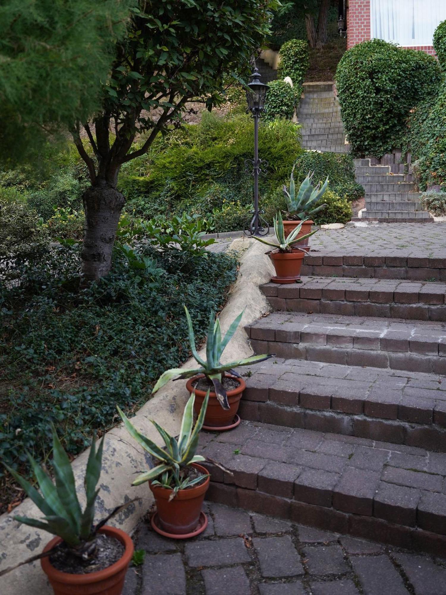 Apartment in Villa Rochlitz