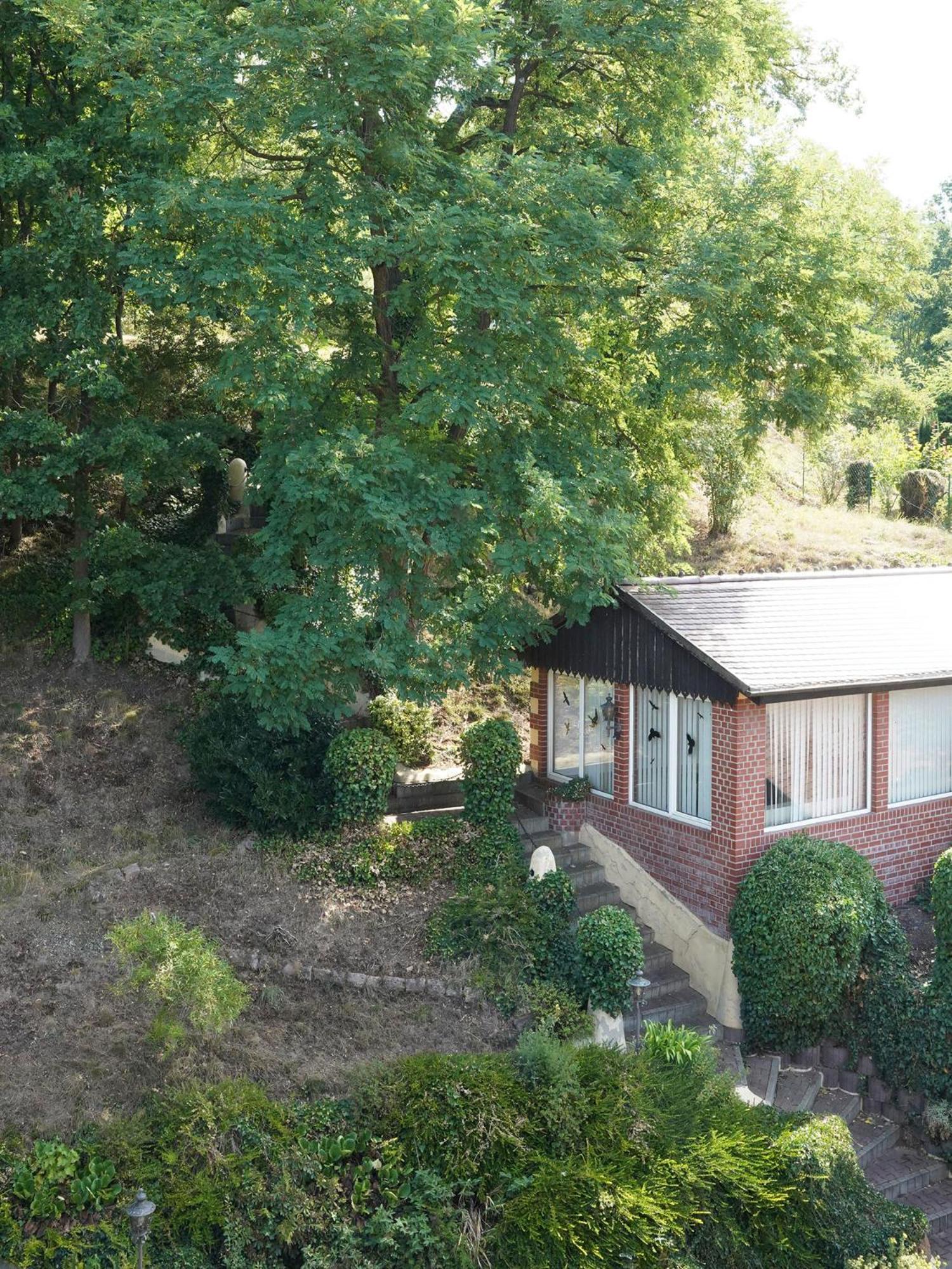 Apartment in Villa Rochlitz