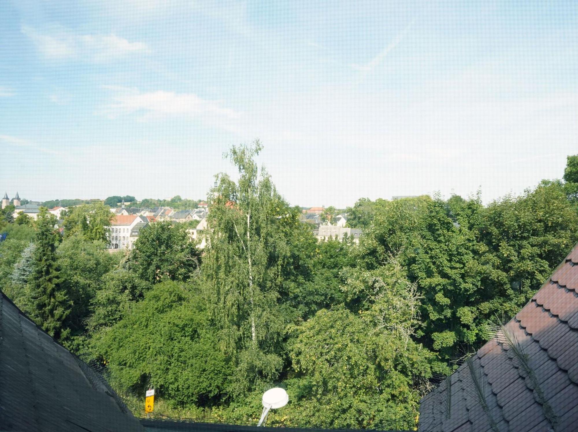 Apartment in Villa Rochlitz