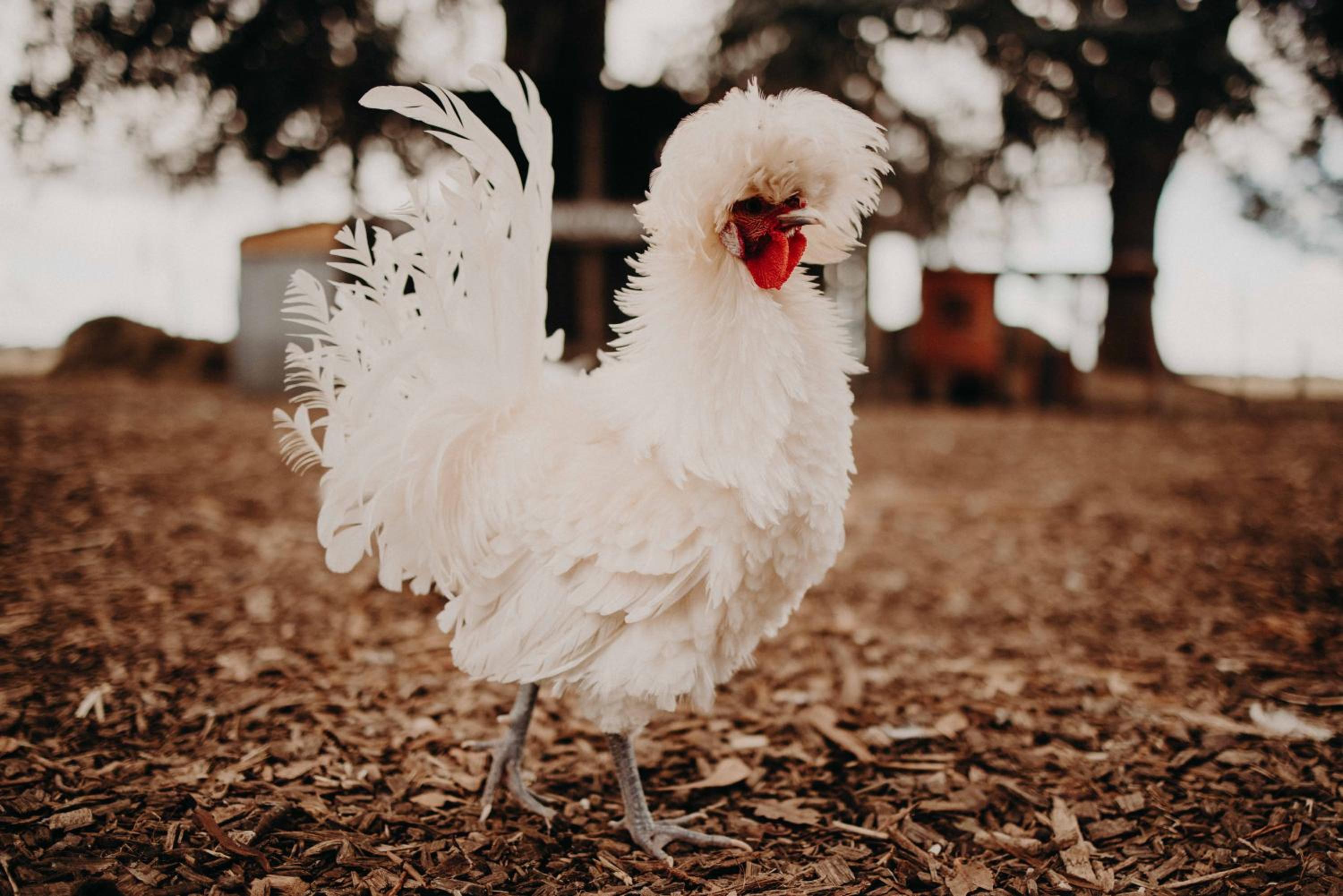 Margaret River Holiday Cottages