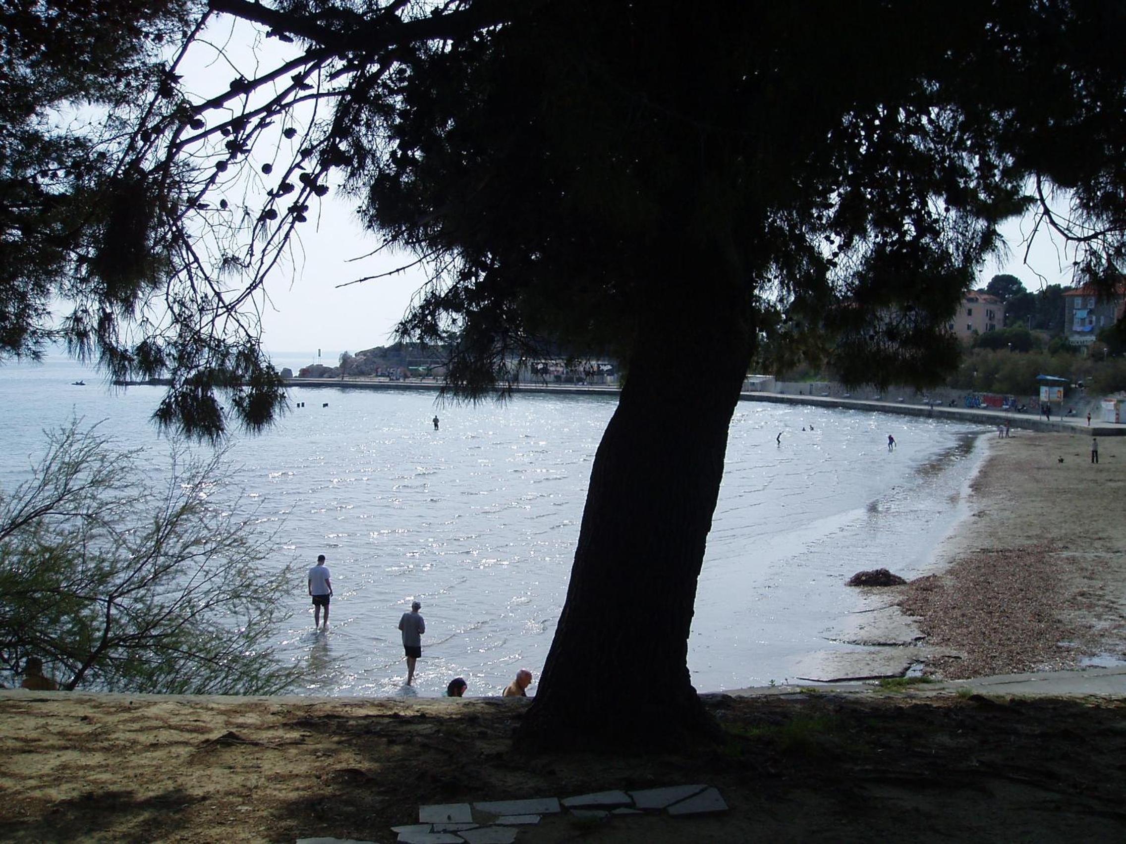 Photo 32
