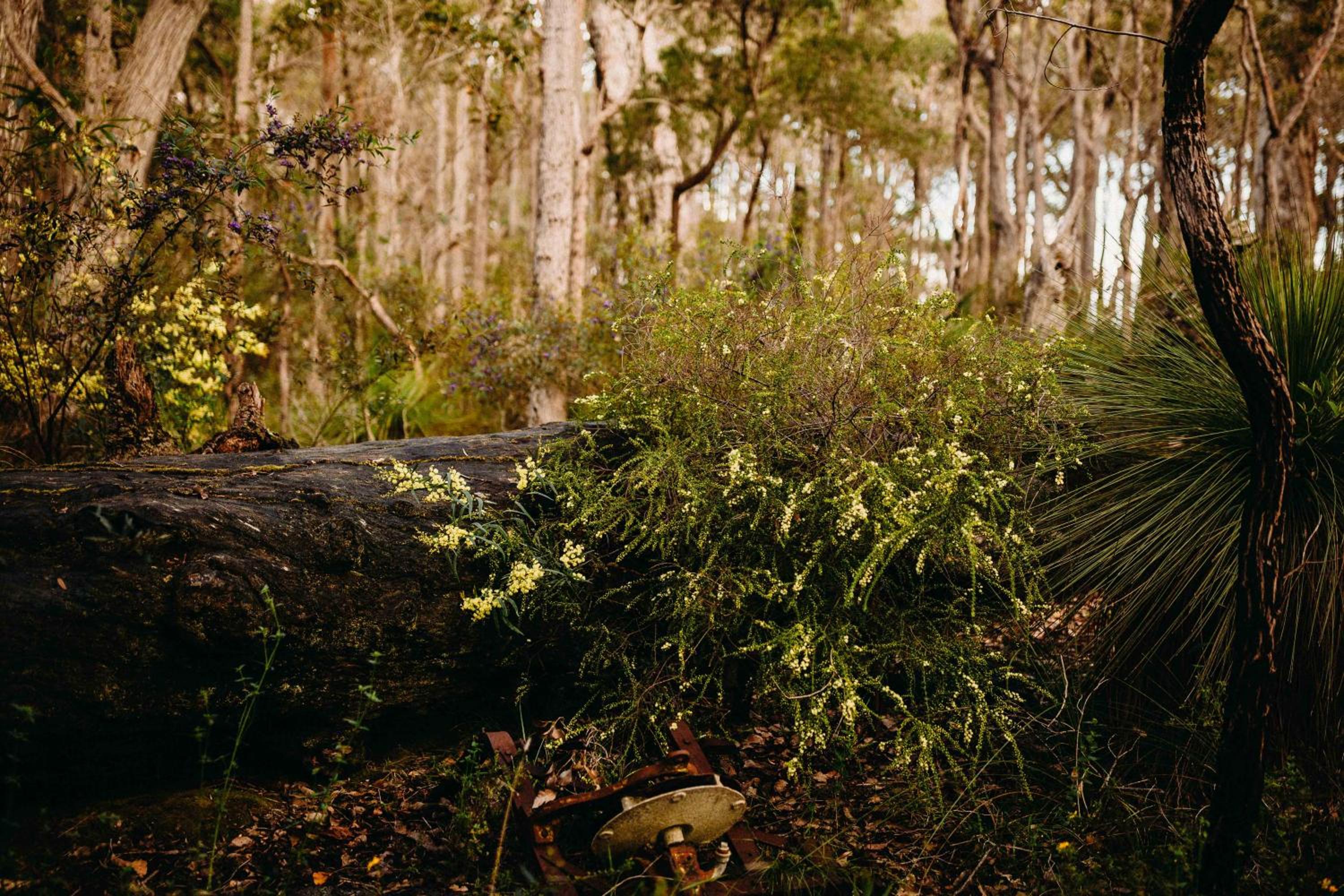 Margaret River Holiday Cottages