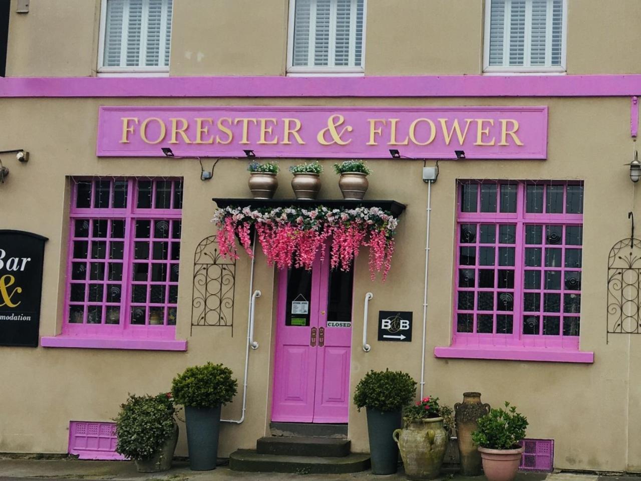 The Forester and Flower view 4
