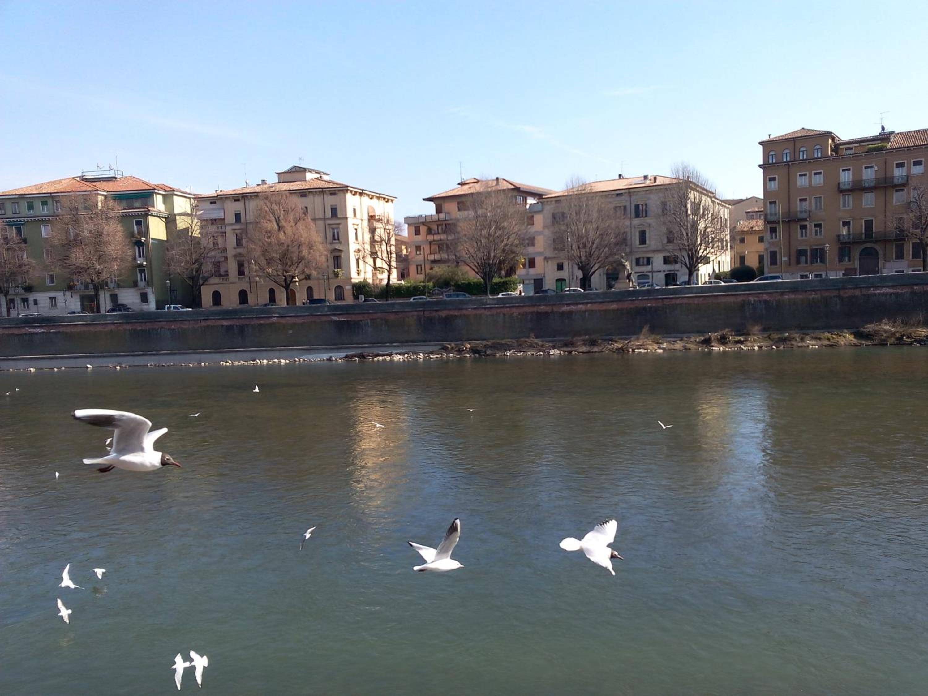 Ai Gabbiani view 3