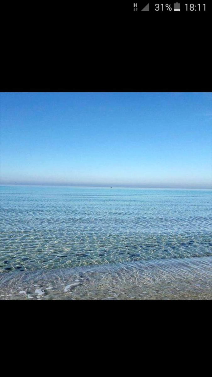 2 bedrooms appartement with city view furnished terrace and wifi at Mazara del Vallo 3 km away from the beach