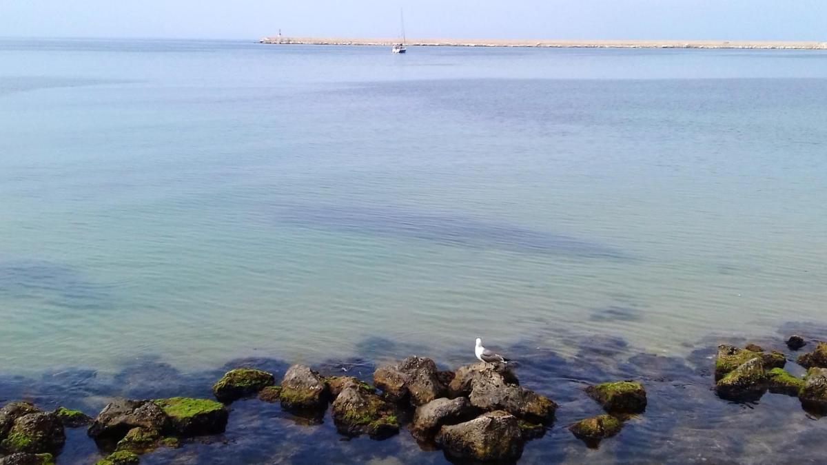 2 bedrooms appartement with city view furnished terrace and wifi at Mazara del Vallo 3 km away from the beach