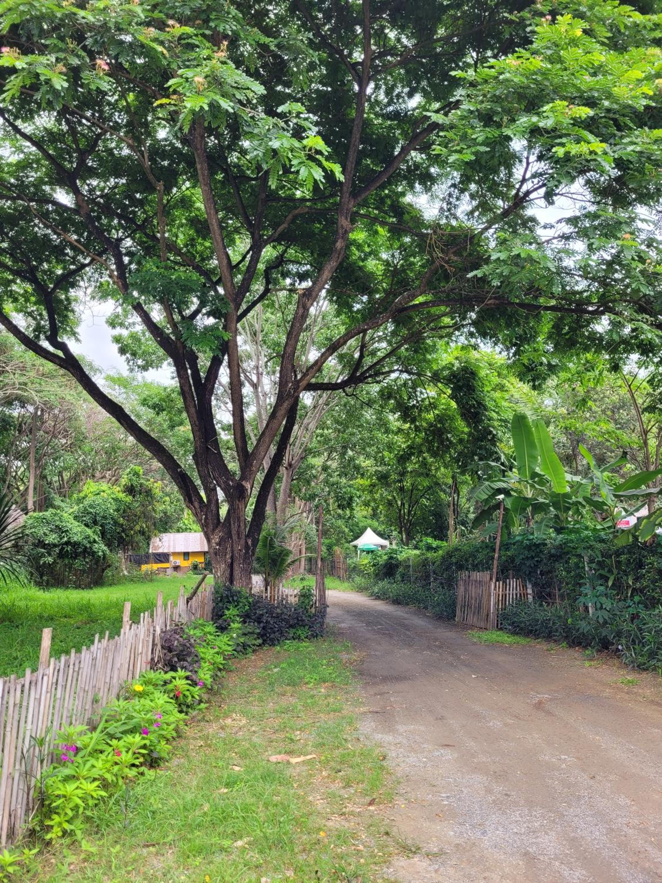 Brookhouse at Khaoyai