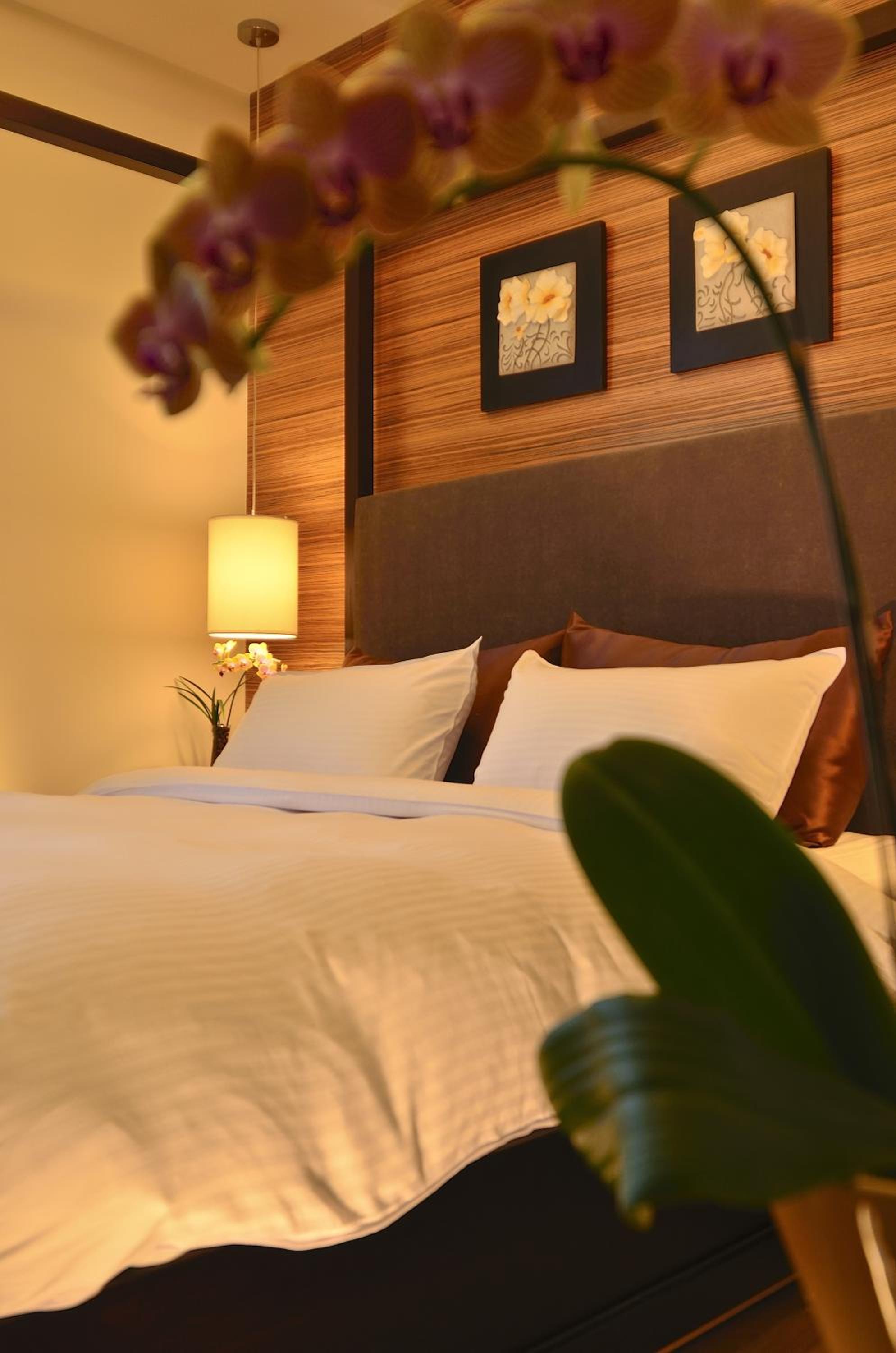 Hotel Modern Puli