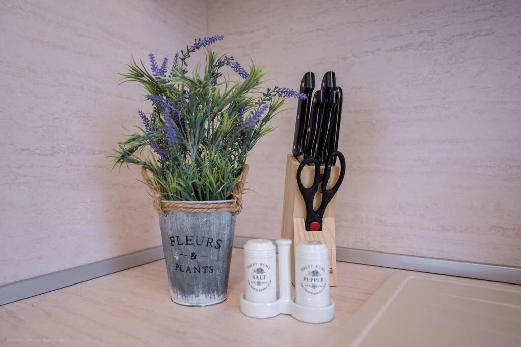 Serenity apartment