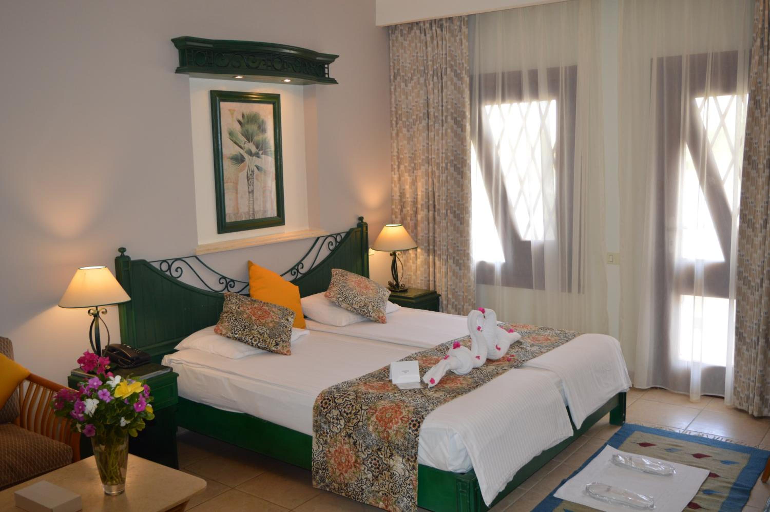 Swiss Inn Resort Dahab — photo 62