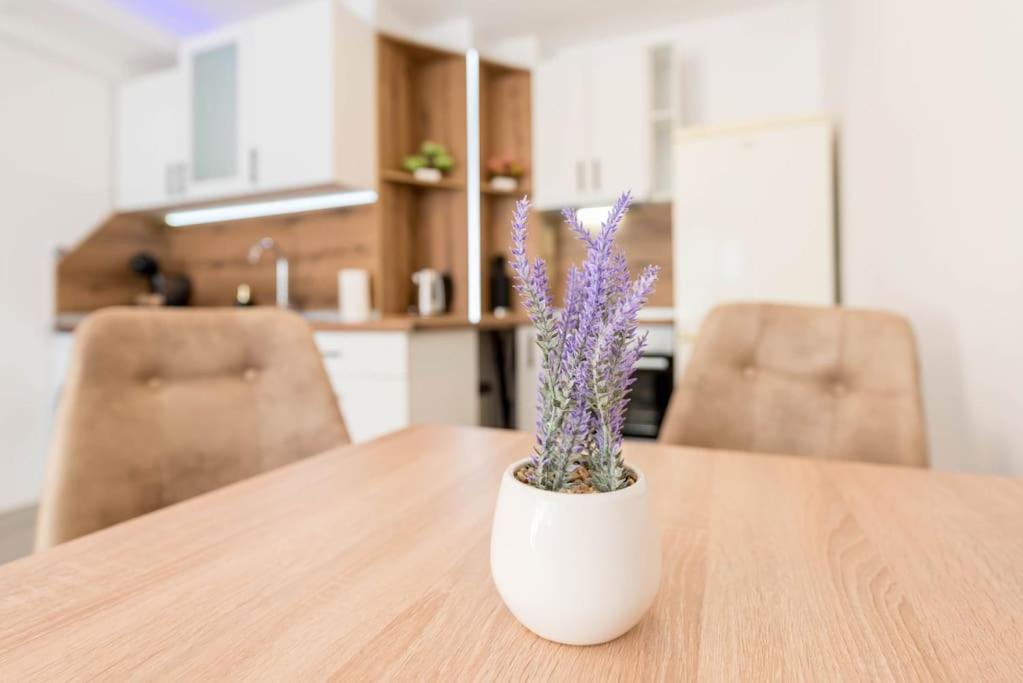Homey apartment near Grand Mall