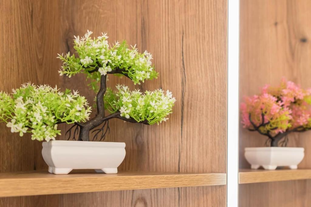Homey apartment near Grand Mall