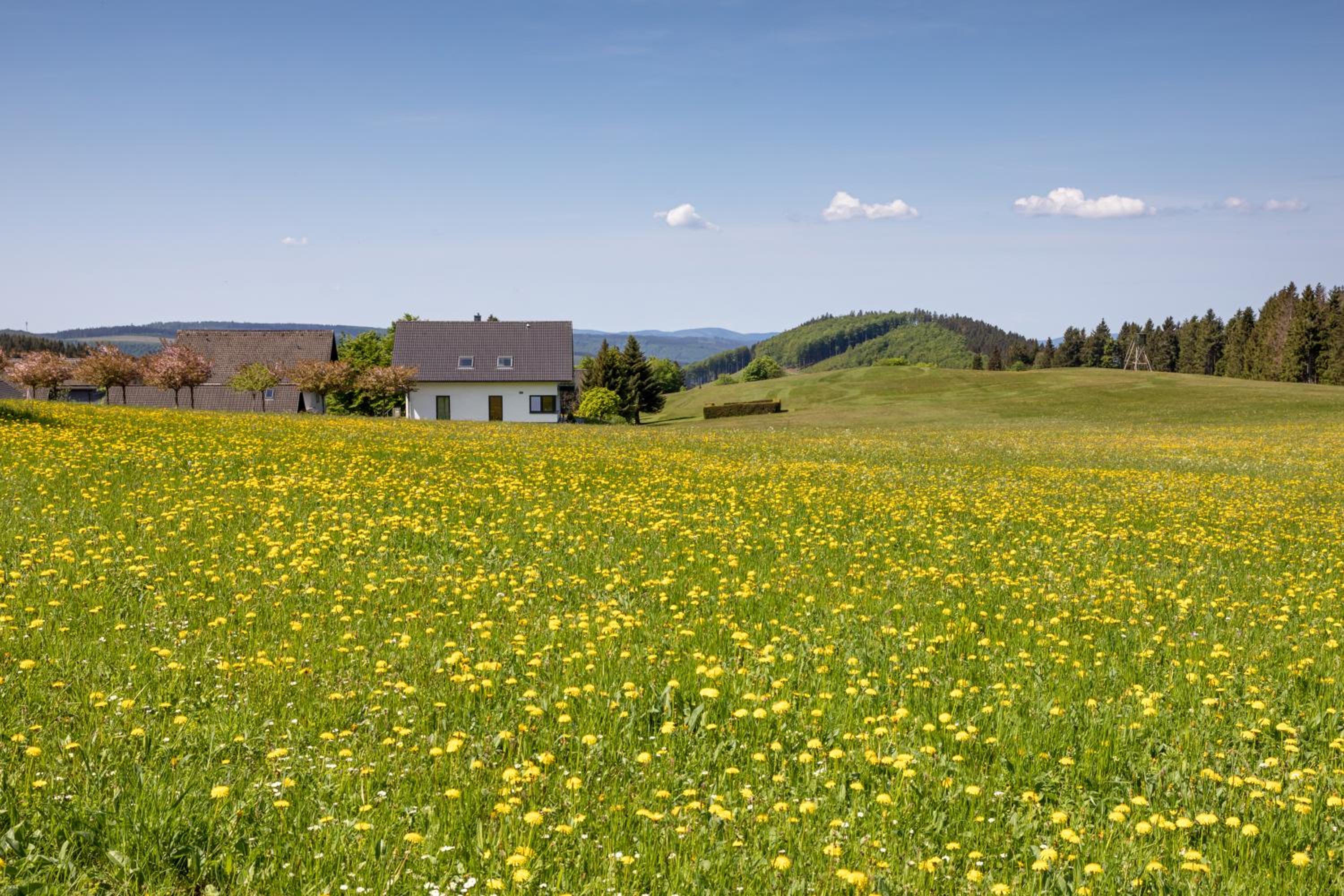 Ferienwohnung Astenpanorama