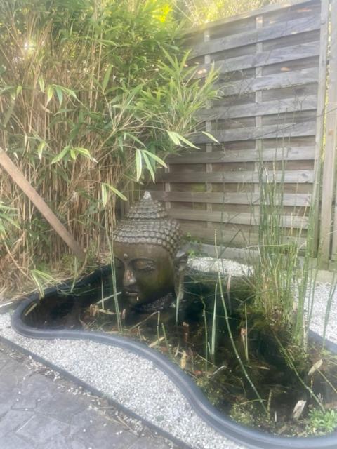 Duna - Japandi B&B met topontbijt & wellness