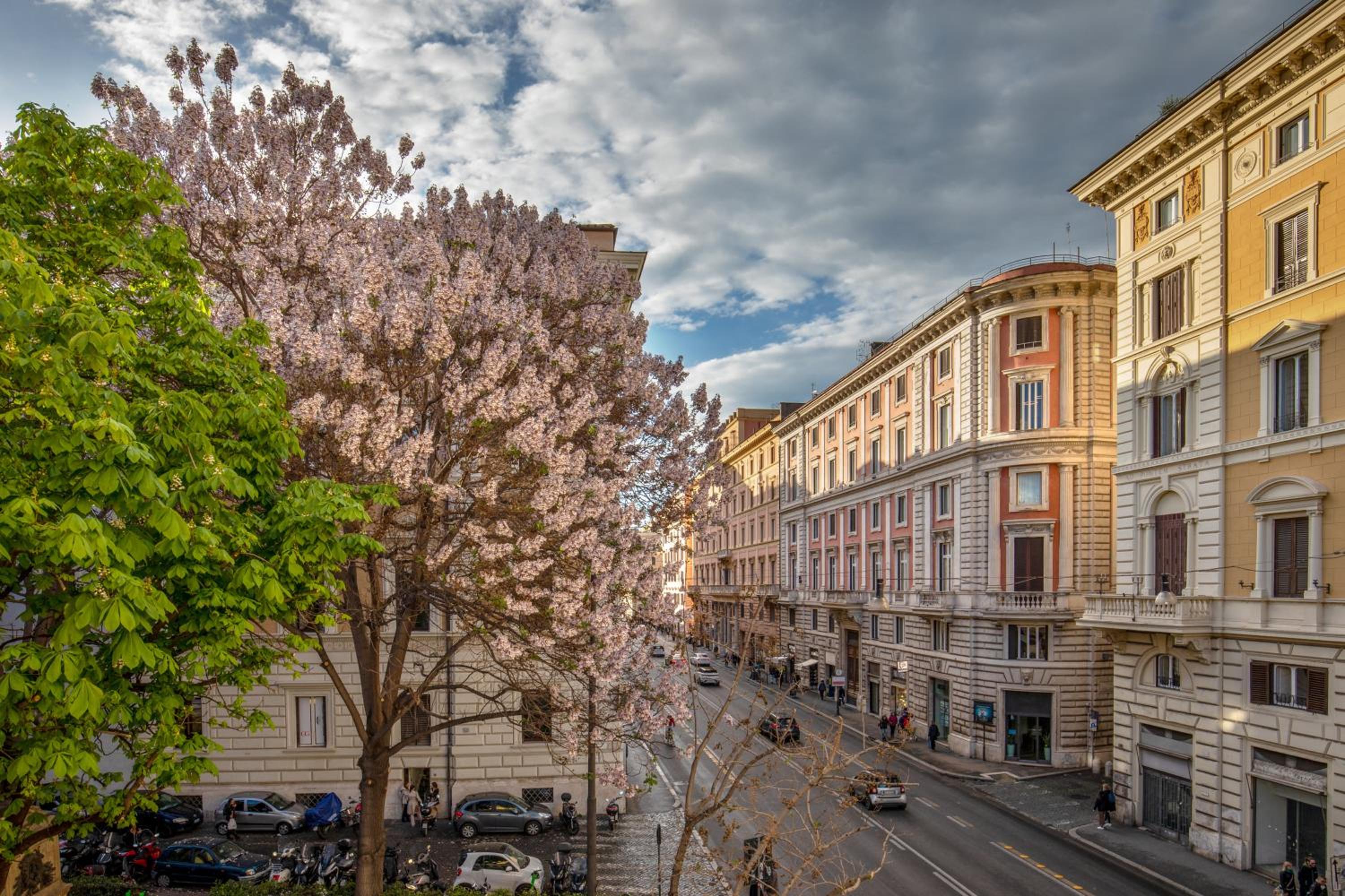 Navona Sky Palace