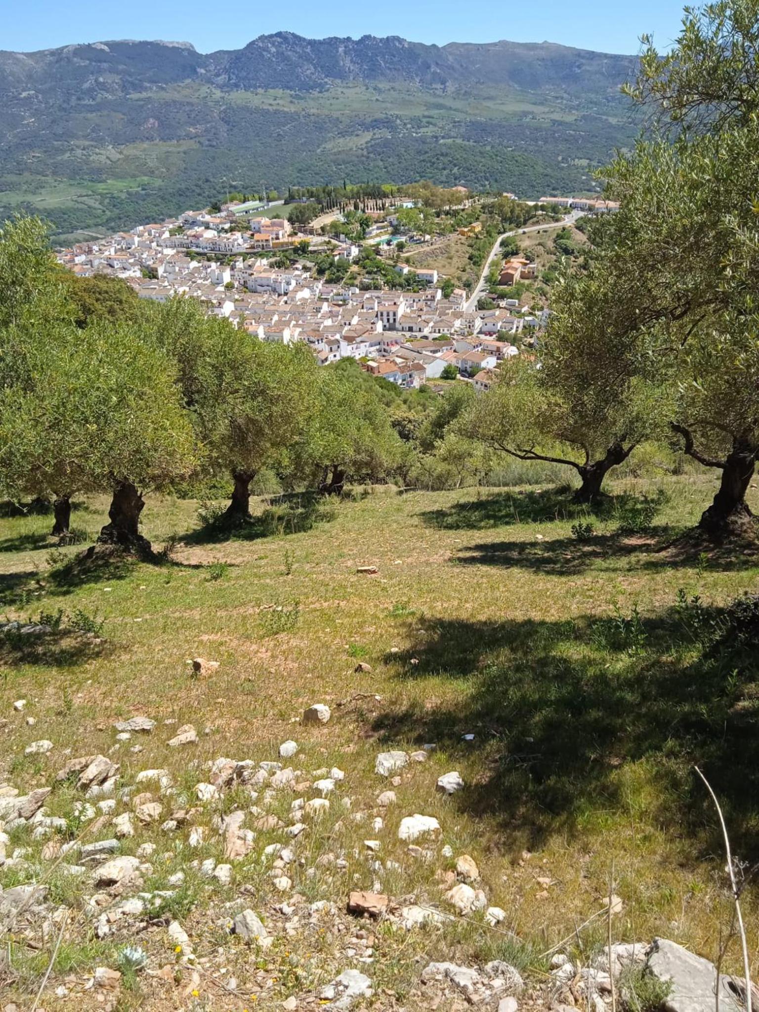 Pension La Sierra