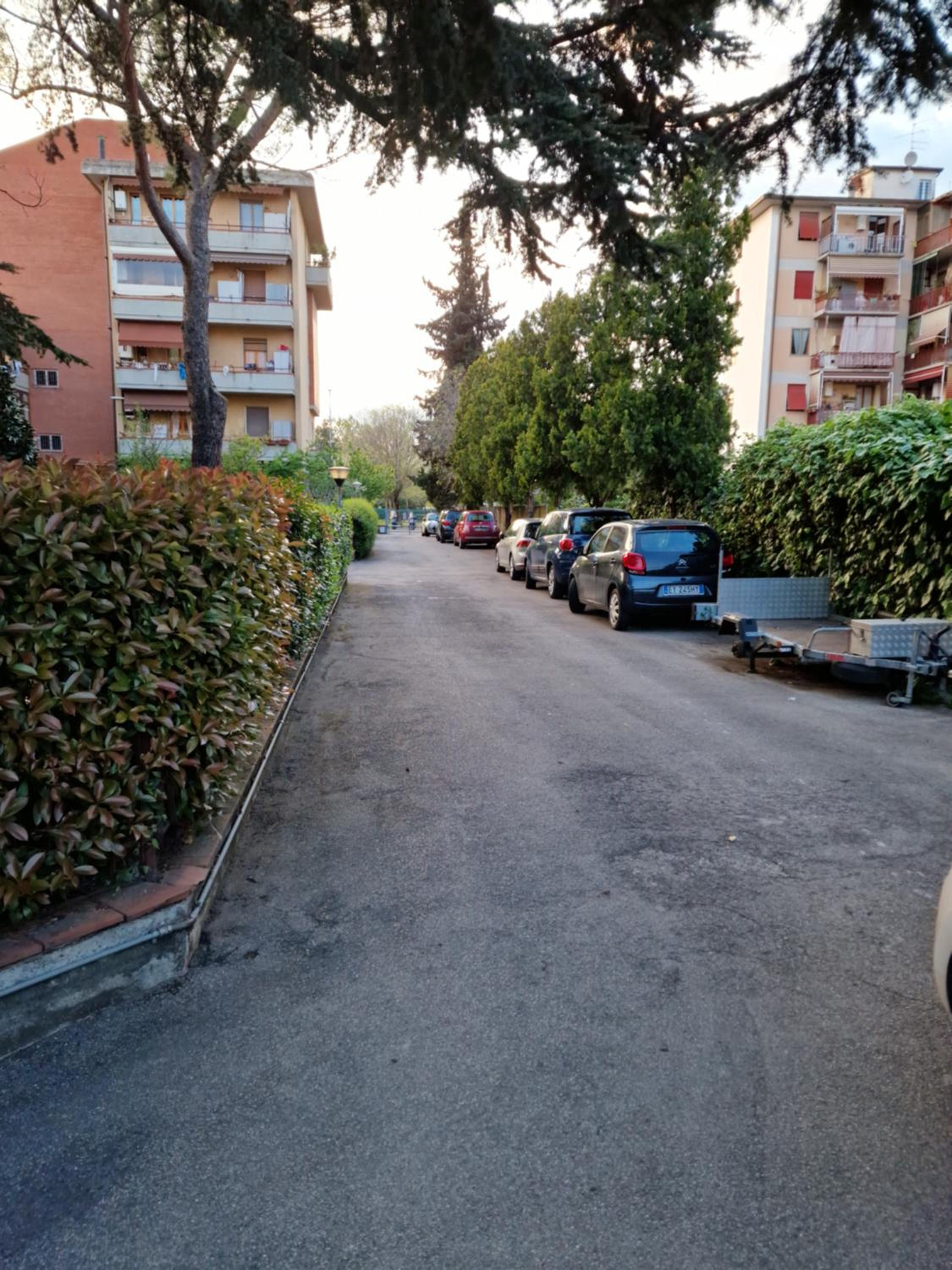 Photo 57