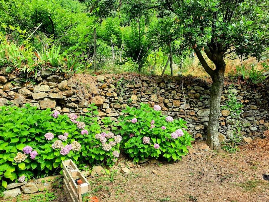 Il limoneto dei Cinque Sensi,apartment with garden photo 5