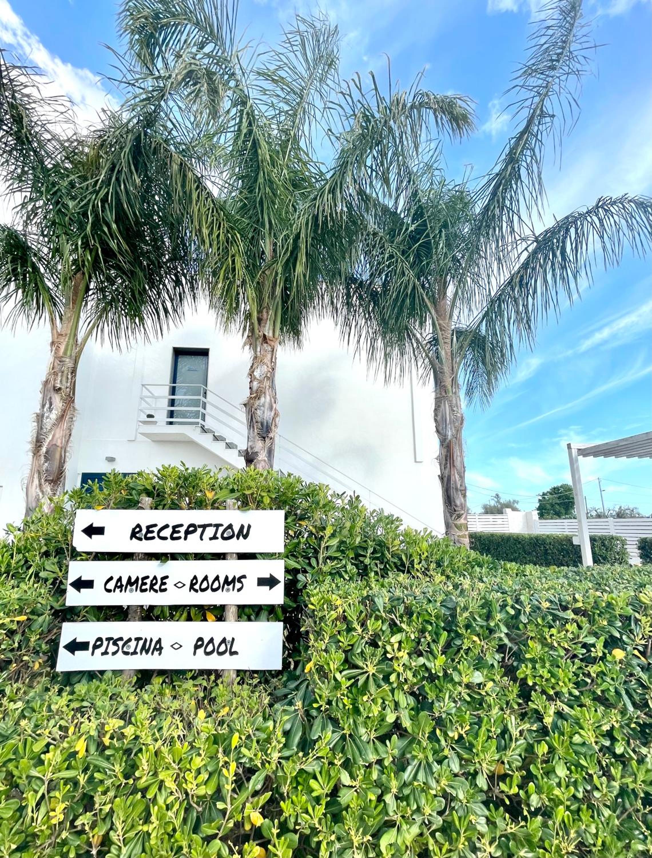 Sun of Sicily photo 5