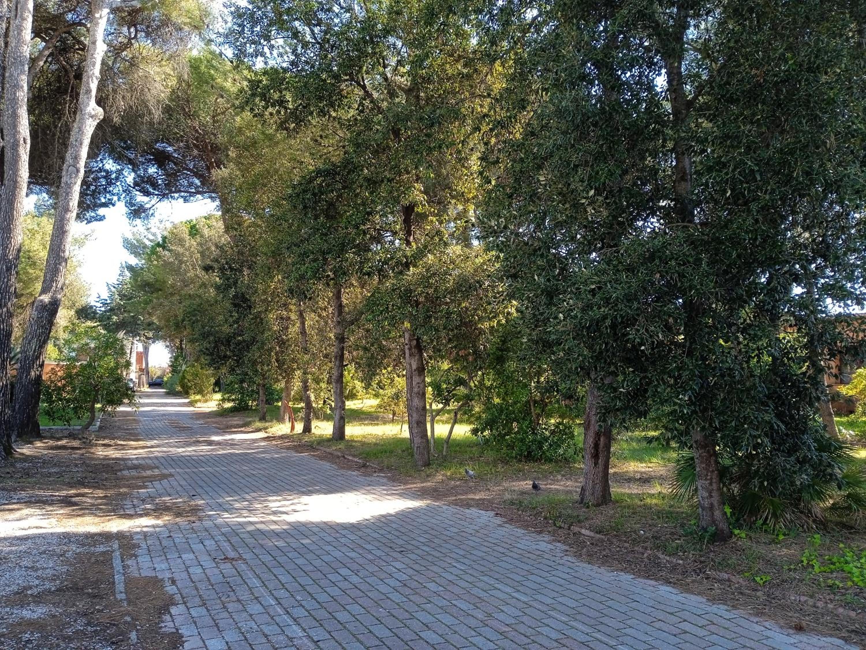 Accesso diretto sul mare MarediluceCala