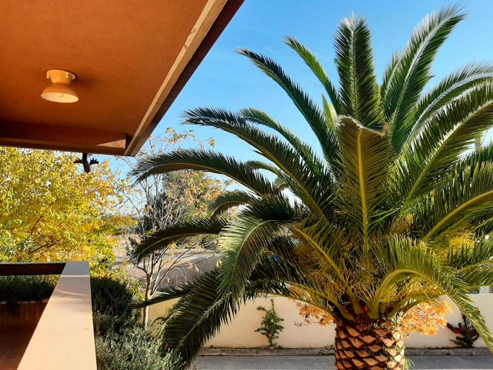 VILLA AFRICA
