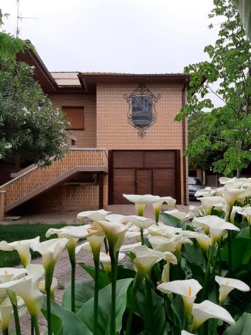 VILLA AFRICA