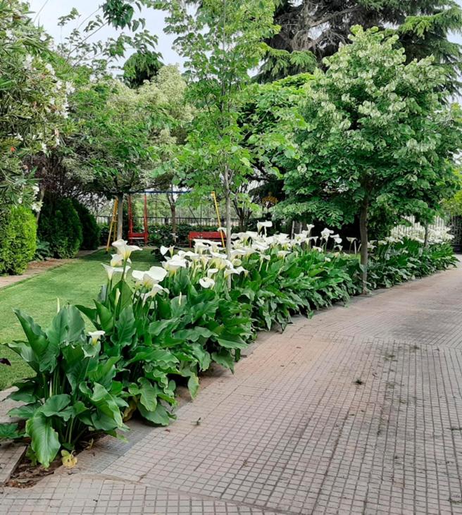 VILLA AFRICA