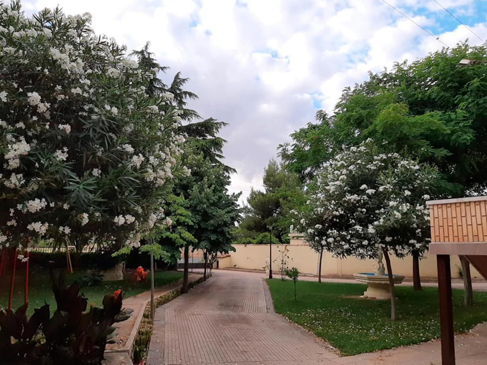 VILLA AFRICA