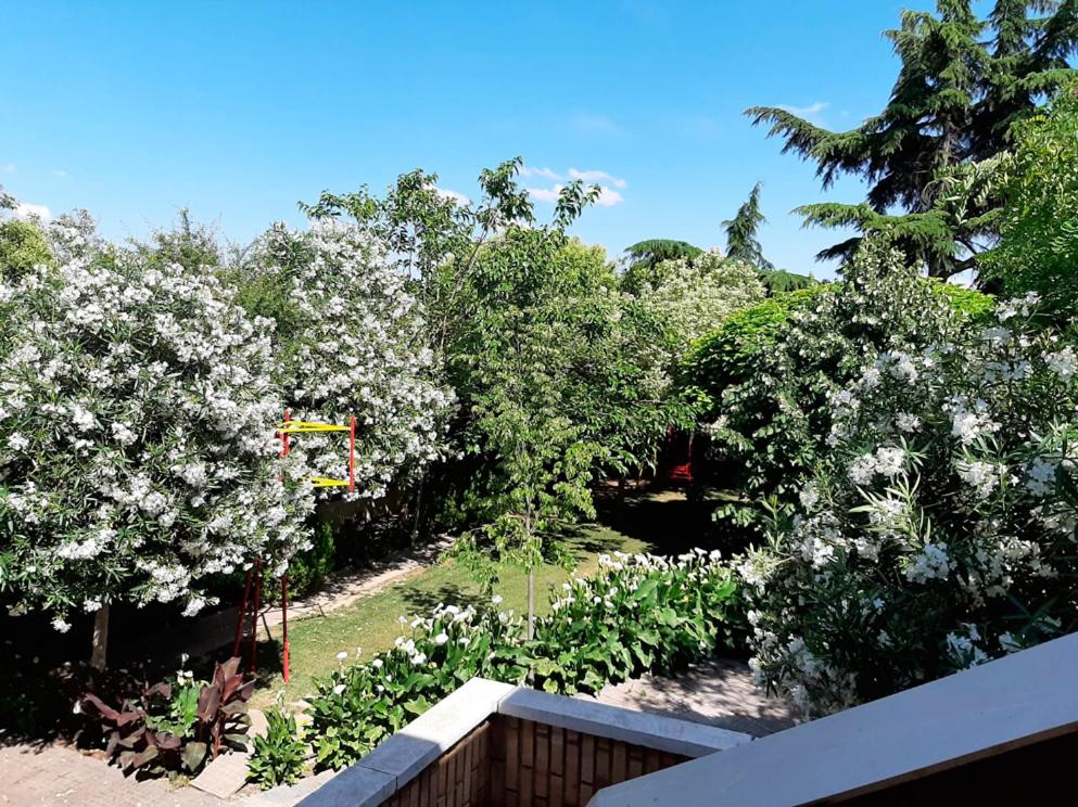 VILLA AFRICA