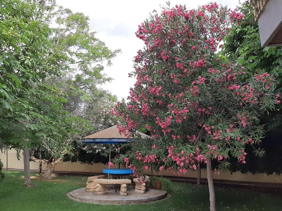 VILLA AFRICA