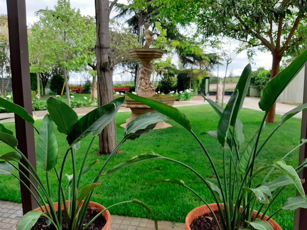 VILLA AFRICA