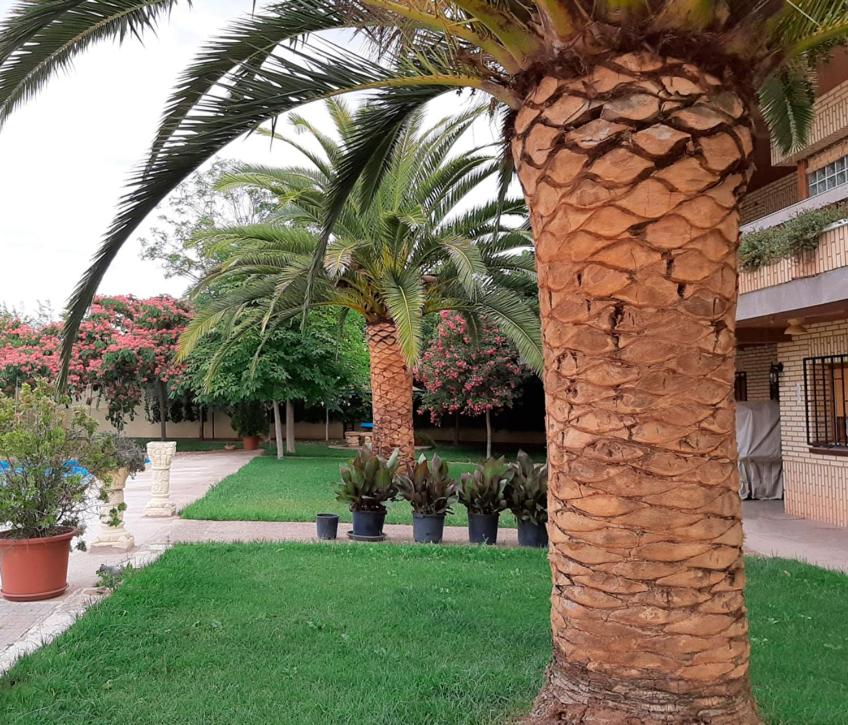VILLA AFRICA