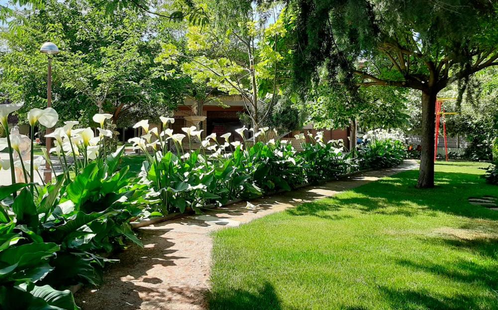 VILLA AFRICA