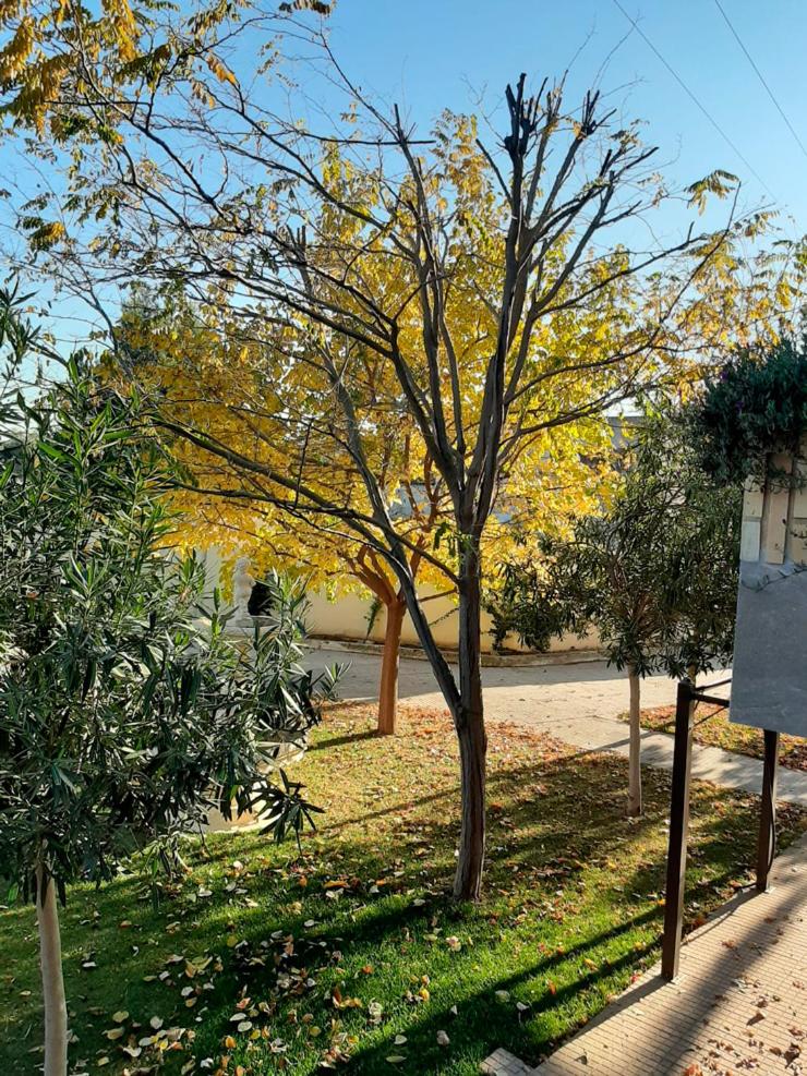 VILLA AFRICA