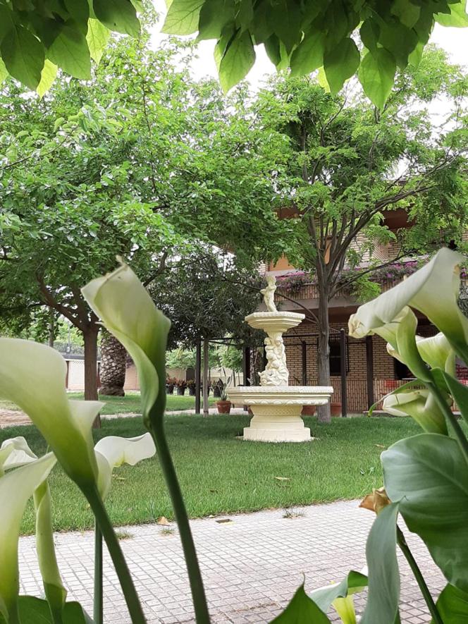 VILLA AFRICA