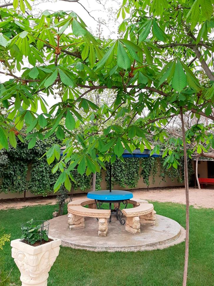 VILLA AFRICA