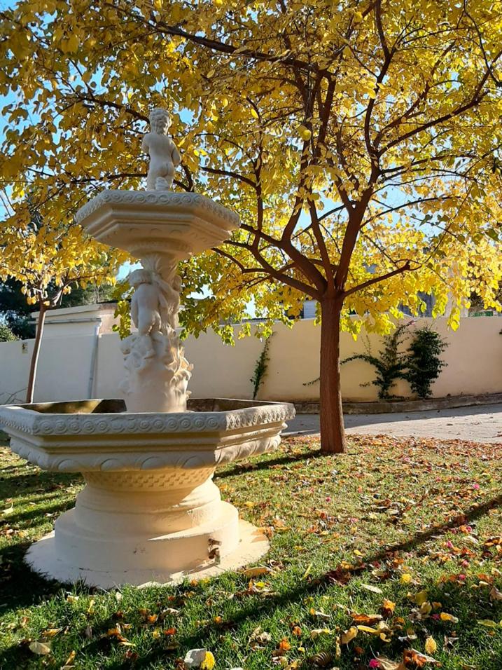 VILLA AFRICA