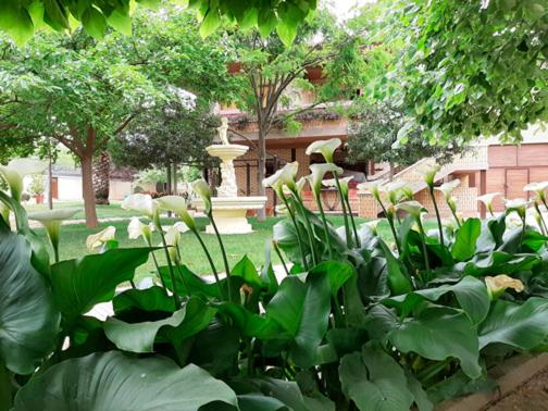 VILLA AFRICA