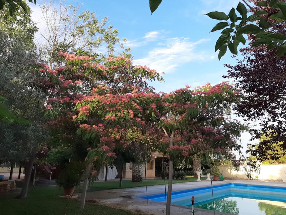 VILLA AFRICA