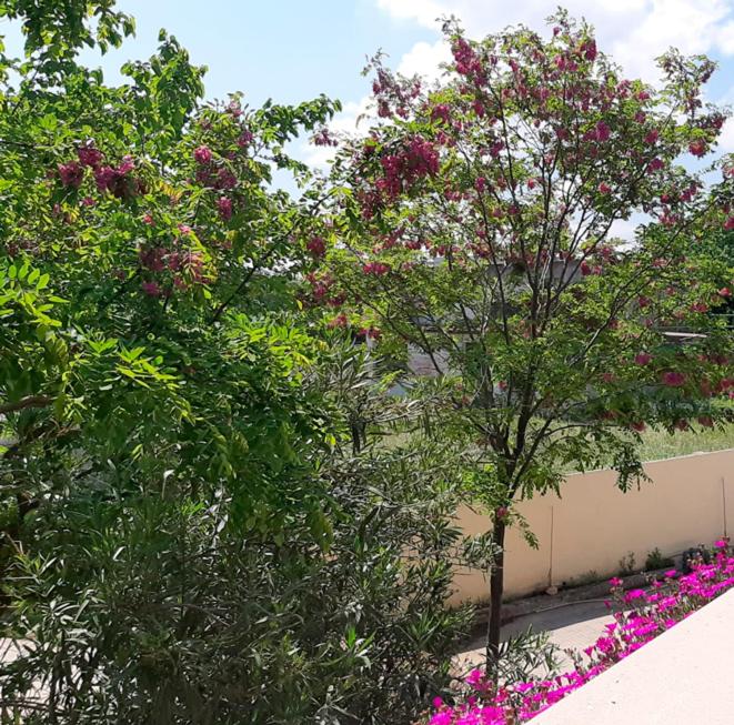 VILLA AFRICA