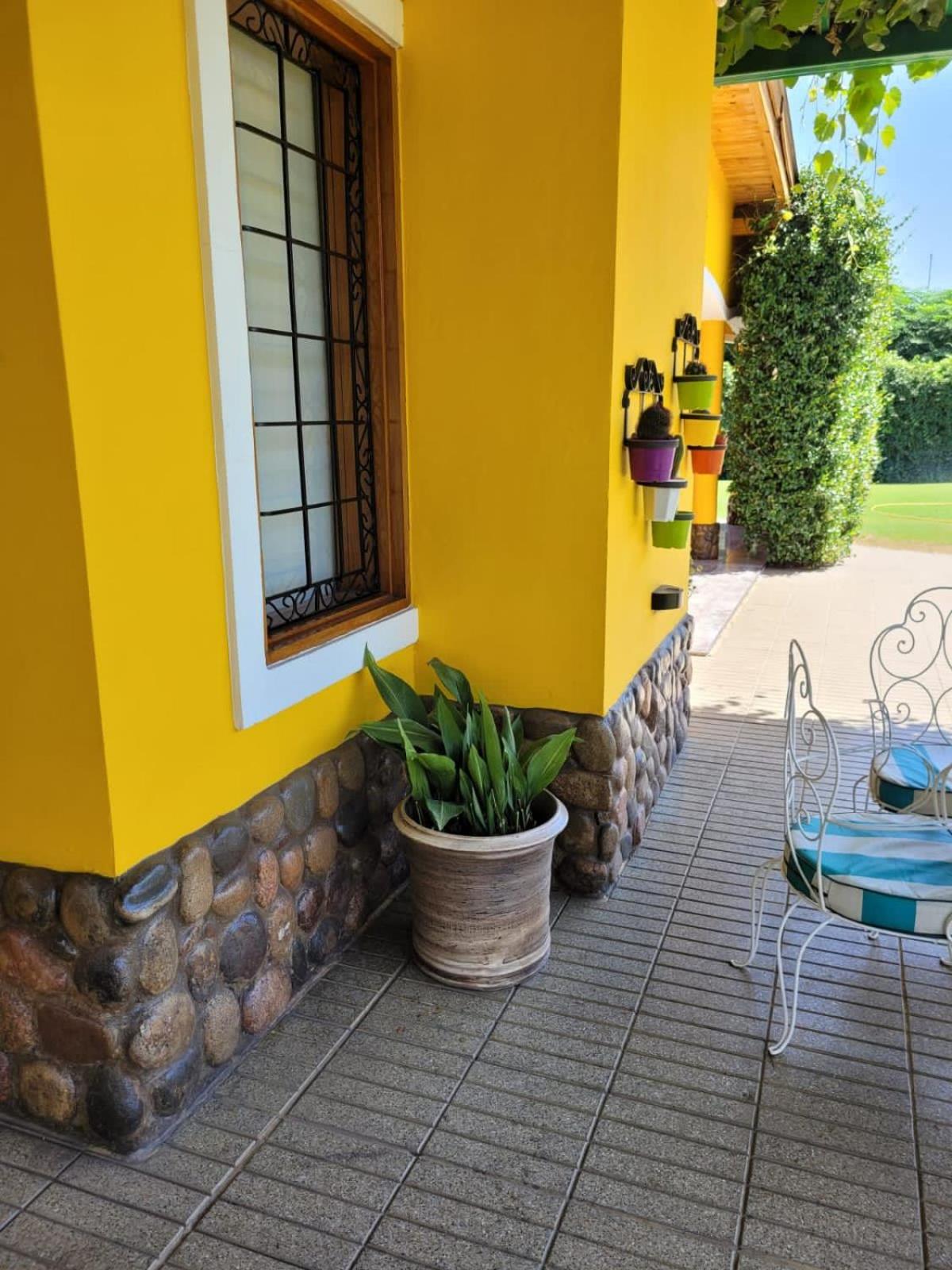 Yellow House