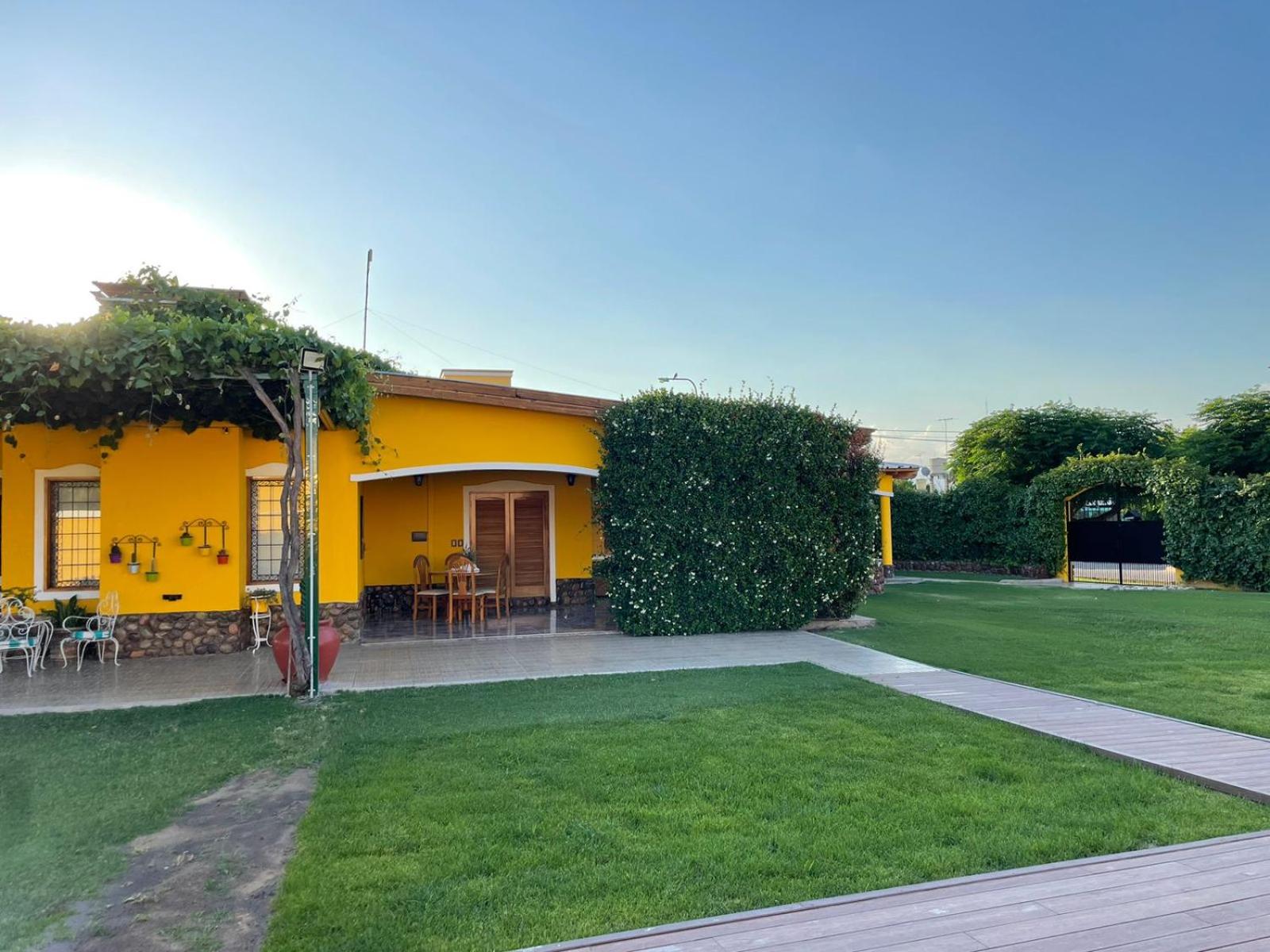 Yellow House